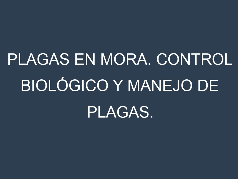 Plagas en Mora. Control biológico y Manejo de plagas.