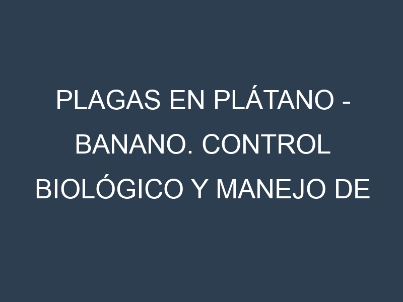 Plagas en Plátano – Banano. Control biológico y Manejo de plagas.