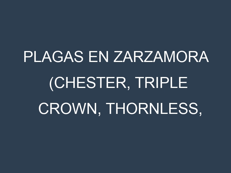 Plagas en Zarzamora (Chester, Triple Crown, Thornless, Navaho). Control biológico y Manejo de plagas.