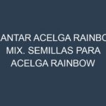 Plantar Acelga Rainbow Mix. Semillas para Acelga Rainbow Mix. Enfermedades Acelga Rainbow Mix.
