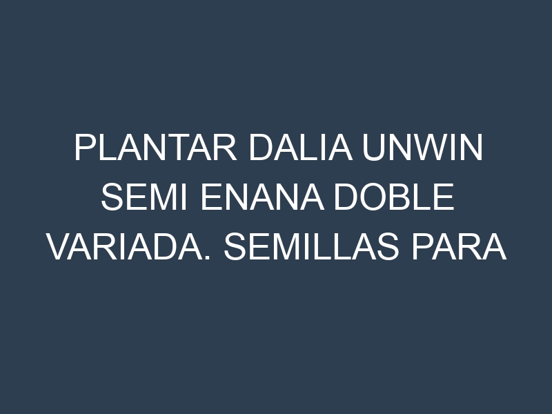 Plantar Dalia Unwin Semi Enana Doble Variada. Semillas para Dalia Unwin Semi Enana Doble Variada. Enfermedades Dalia Unwin Semi Enana Doble Variada.