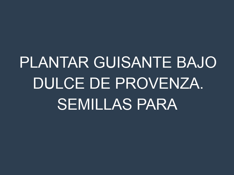 Plantar Guisante Bajo Dulce De Provenza. Semillas para Guisante Bajo Dulce De Provenza. Enfermedades Guisante Bajo Dulce De Provenza.