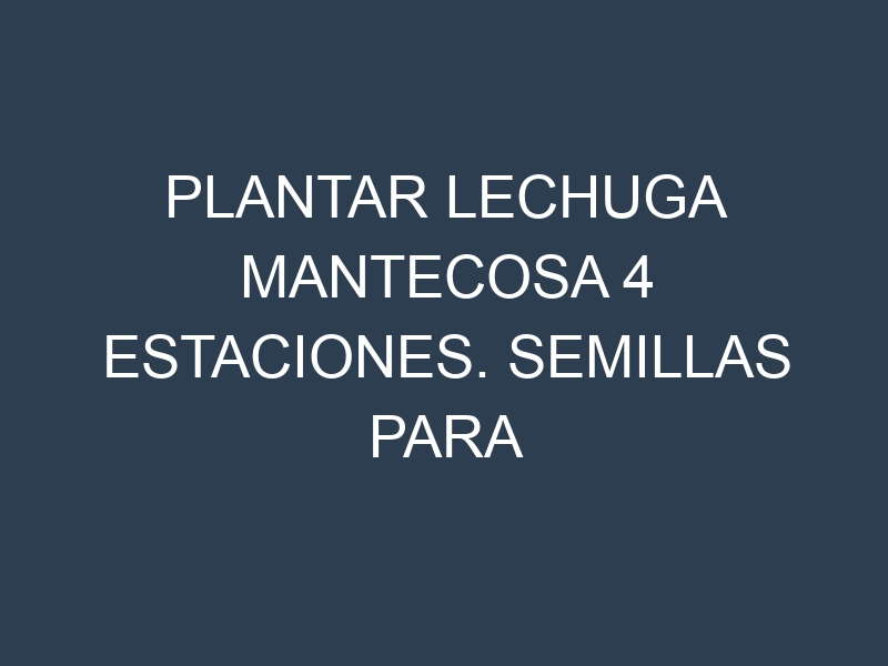 Plantar Lechuga Mantecosa 4 Estaciones. Semillas para Lechuga Mantecosa 4 Estaciones. Enfermedades Lechuga Mantecosa 4 Estaciones.
