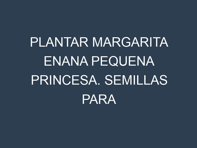 Plantar Margarita Enana Pequena Princesa. Semillas para Margarita Enana Pequena Princesa. Enfermedades Margarita Enana Pequena Princesa.