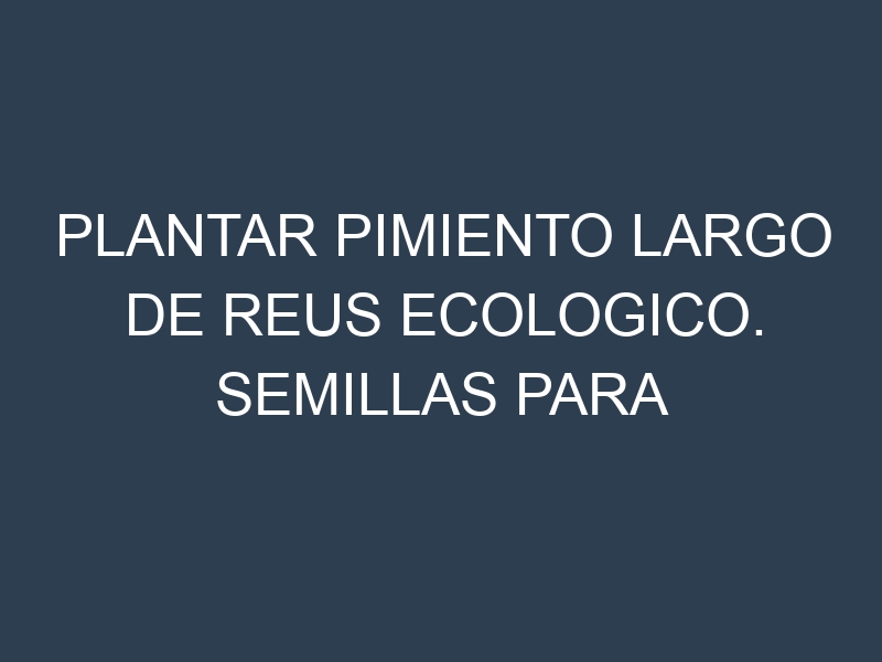 Plantar Pimiento Largo De Reus Ecologico. Semillas para Pimiento Largo De Reus Ecologico. Enfermedades Pimiento Largo De Reus Ecologico.