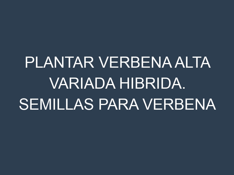 Plantar Verbena Alta Variada Hibrida. Semillas para Verbena Alta Variada Hibrida. Enfermedades Verbena Alta Variada Hibrida.