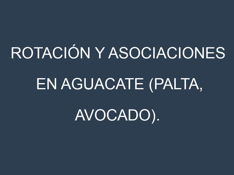 Rotación y Asociaciones en Aguacate (Palta, avocado). Estrategias de rotación y Beneficios de las asociaciones de cultivos.