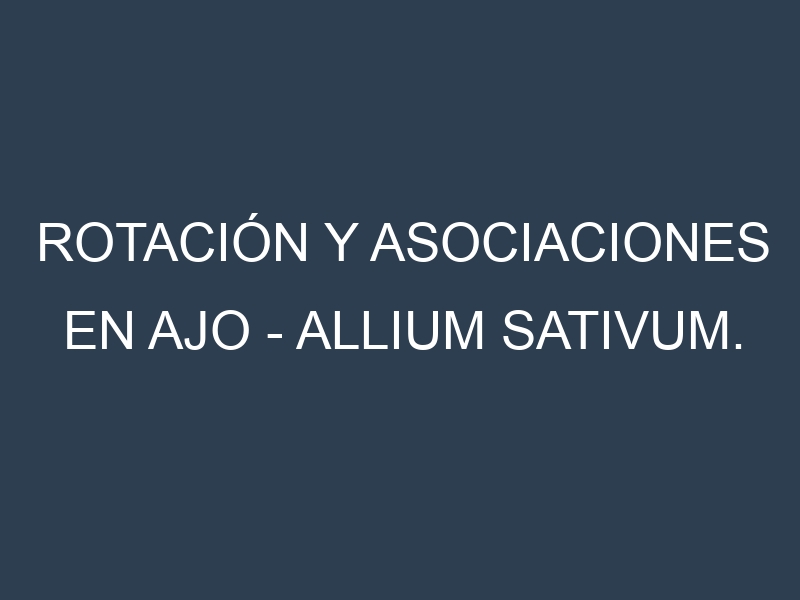 Rotación y Asociaciones en Ajo – Allium sativum. Estrategias de rotación y Beneficios de las asociaciones de cultivos.