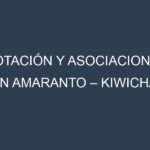 Rotación y Asociaciones en Amaranto – Kiwicha. Estrategias de rotación y Beneficios de las asociaciones de cultivos.