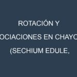 Rotación y Asociaciones en Chayote (Sechium edule, christophine). Estrategias de rotación y Beneficios de las asociaciones de cultivos.