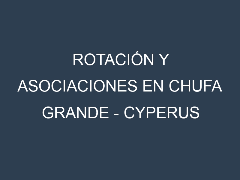 Rotación y Asociaciones en Chufa Grande – Cyperus esculentus. Estrategias de rotación y Beneficios de las asociaciones de cultivos.