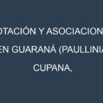 Rotación y Asociaciones en Guaraná (Paullinia cupana, guaraná). Estrategias de rotación y Beneficios de las asociaciones de cultivos.