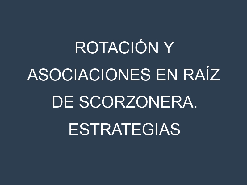 Rotación y Asociaciones en Raíz de scorzonera. Estrategias de rotación y Beneficios de las asociaciones de cultivos.
