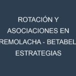 Rotación y Asociaciones en Remolacha – Betabel. Estrategias de rotación y Beneficios de las asociaciones de cultivos.
