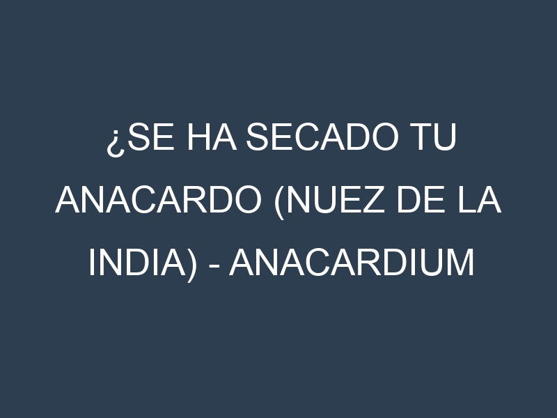 ¿Se ha secado tu Anacardo (nuez de la India) – Anacardium occidentale? Pasos para Detectar, Corregir y Prevenir.