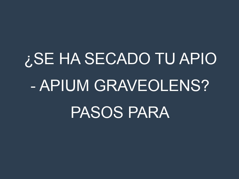 ¿Se ha secado tu Apio – Apium graveolens? Pasos para Detectar, Corregir y Prevenir.