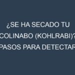 ¿Se ha secado tu Colinabo (kohlrabi)? Pasos para Detectar, Corregir y Prevenir.