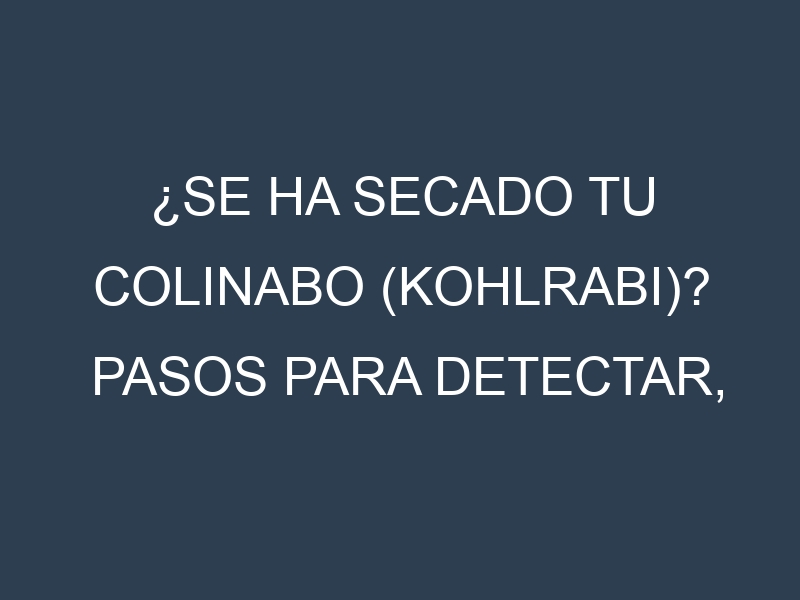 ¿Se ha secado tu Colinabo (kohlrabi)? Pasos para Detectar, Corregir y Prevenir.