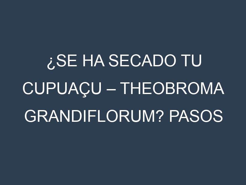 ¿Se ha secado tu Cupuaçu – Theobroma grandiflorum? Pasos para Detectar, Corregir y Prevenir.