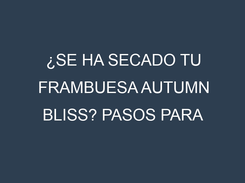¿Se ha secado tu Frambuesa Autumn Bliss? Pasos para Detectar, Corregir y Prevenir.