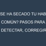 ¿Se ha secado tu Haba común? Pasos para Detectar, Corregir y Prevenir.