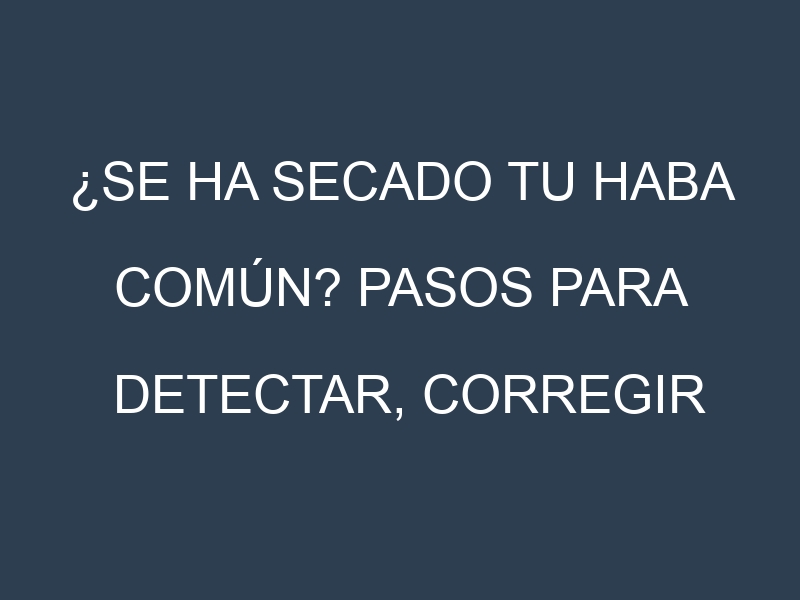 ¿Se ha secado tu Haba común? Pasos para Detectar, Corregir y Prevenir.