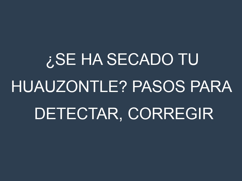 ¿Se ha secado tu Huauzontle? Pasos para Detectar, Corregir y Prevenir.