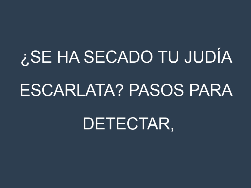 ¿Se ha secado tu Judía escarlata? Pasos para Detectar, Corregir y Prevenir.