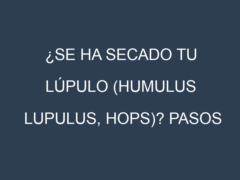 ¿Se ha secado tu Lúpulo (Humulus lupulus, hops)? Pasos para Detectar, Corregir y Prevenir.