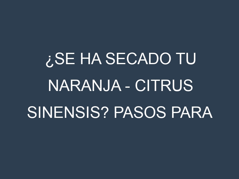 ¿Se ha secado tu Naranja – Citrus sinensis? Pasos para Detectar, Corregir y Prevenir.