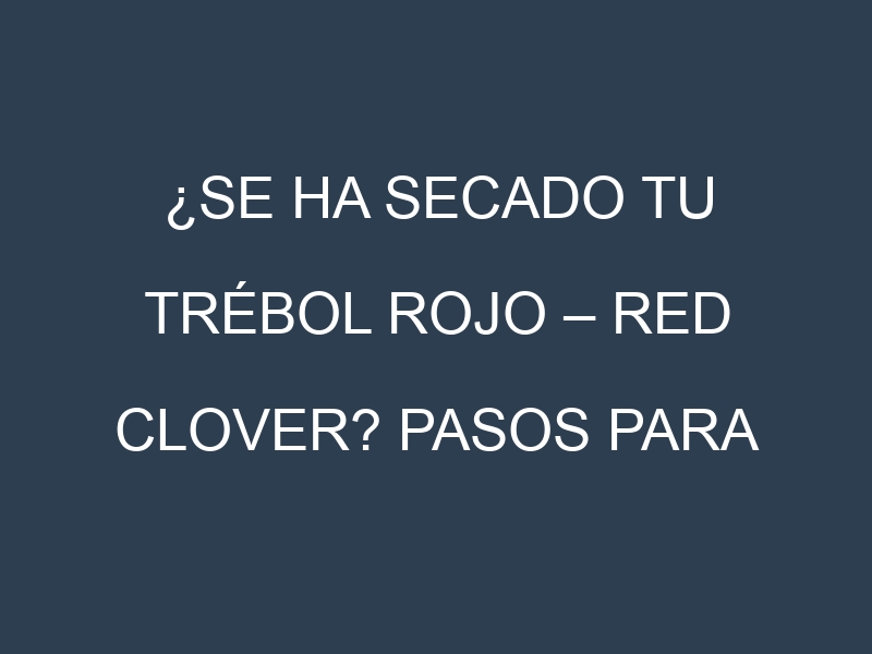 ¿Se ha secado tu Trébol rojo – Red clover? Pasos para Detectar, Corregir y Prevenir.