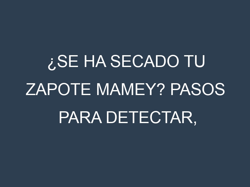 ¿Se ha secado tu Zapote mamey? Pasos para Detectar, Corregir y Prevenir.