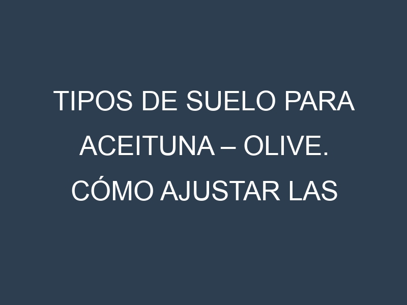 Tipos de suelo para Aceituna – Olive. Cómo ajustar las condiciones del suelo.