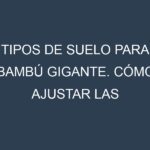 Tipos de suelo para Bambú gigante. Cómo ajustar las condiciones del suelo.