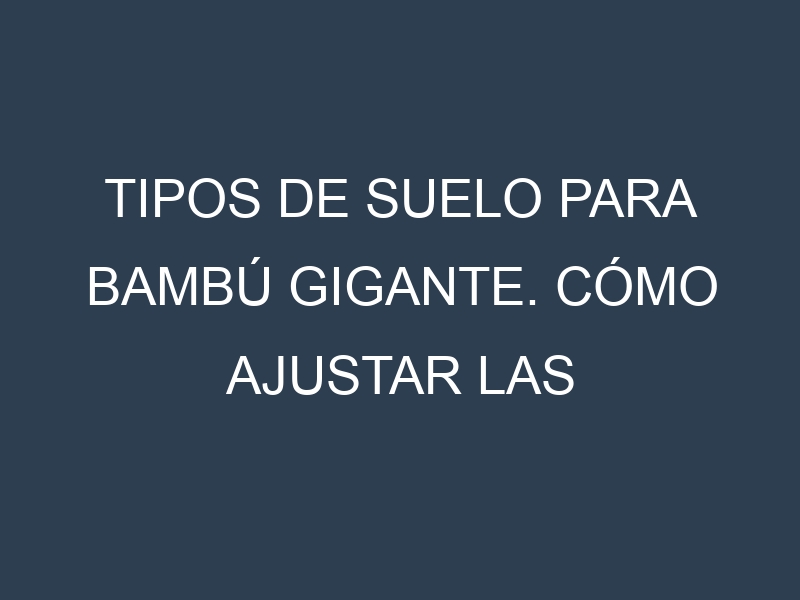 Tipos de suelo para Bambú gigante. Cómo ajustar las condiciones del suelo.
