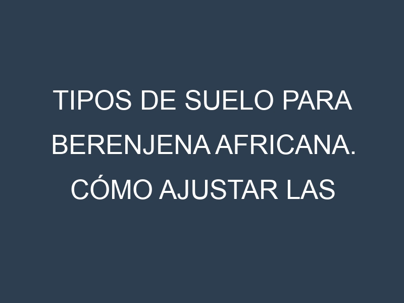 Tipos de suelo para Berenjena africana. Cómo ajustar las condiciones del suelo.