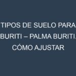 Tipos de suelo para Buriti – Palma buriti. Cómo ajustar las condiciones del suelo.