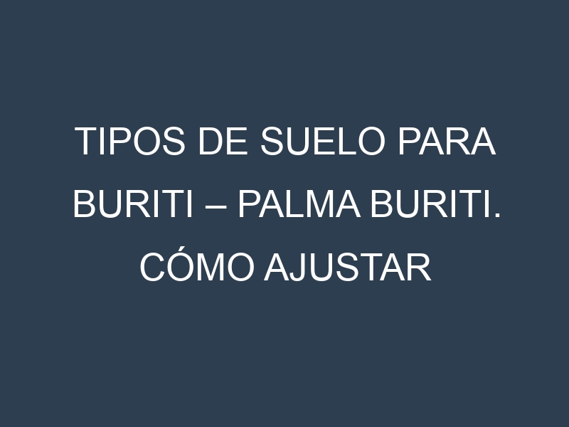 Tipos de suelo para Buriti – Palma buriti. Cómo ajustar las condiciones del suelo.