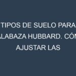 Tipos de suelo para Calabaza hubbard. Cómo ajustar las condiciones del suelo.