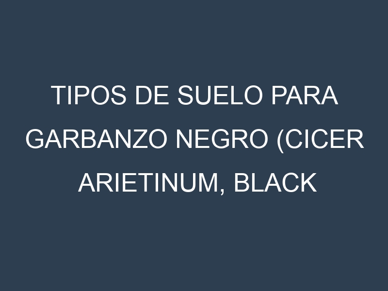 Tipos de suelo para Garbanzo negro (Cicer arietinum, black chickpea). Cómo ajustar las condiciones del suelo.