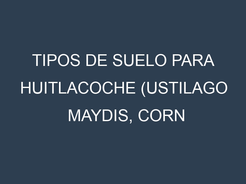 Tipos de suelo para Huitlacoche (Ustilago maydis, corn smut). Cómo ajustar las condiciones del suelo.