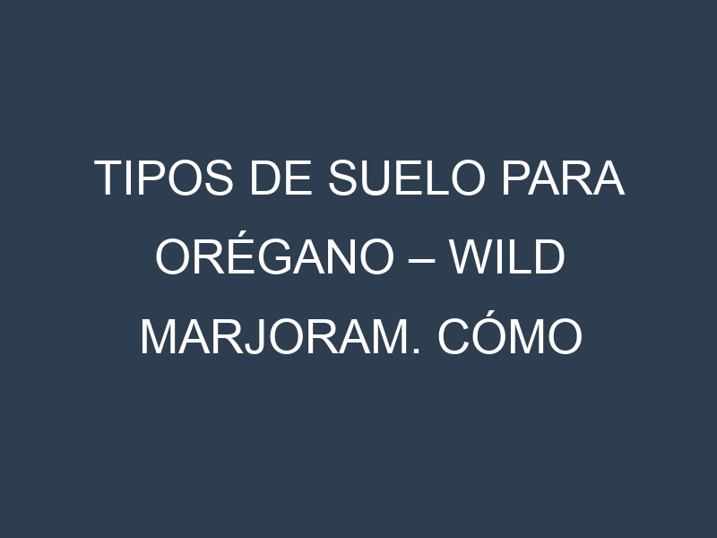 Tipos de suelo para Orégano – Wild marjoram. Cómo ajustar las condiciones del suelo.
