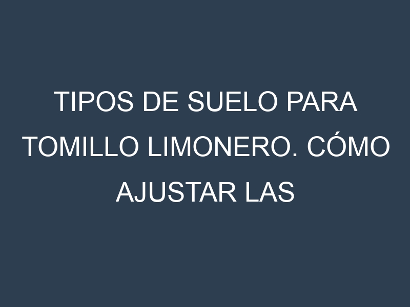 Tipos de suelo para Tomillo limonero. Cómo ajustar las condiciones del suelo.