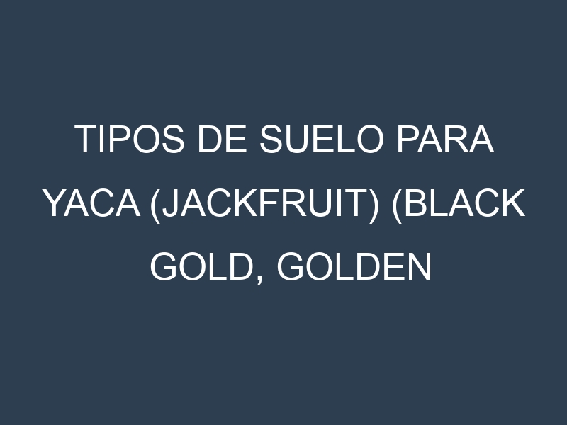 Tipos de suelo para Yaca (jackfruit) (Black Gold, Golden Nugget, Honey Gold, Golden Pillow, NS1). Cómo ajustar las condiciones del suelo.