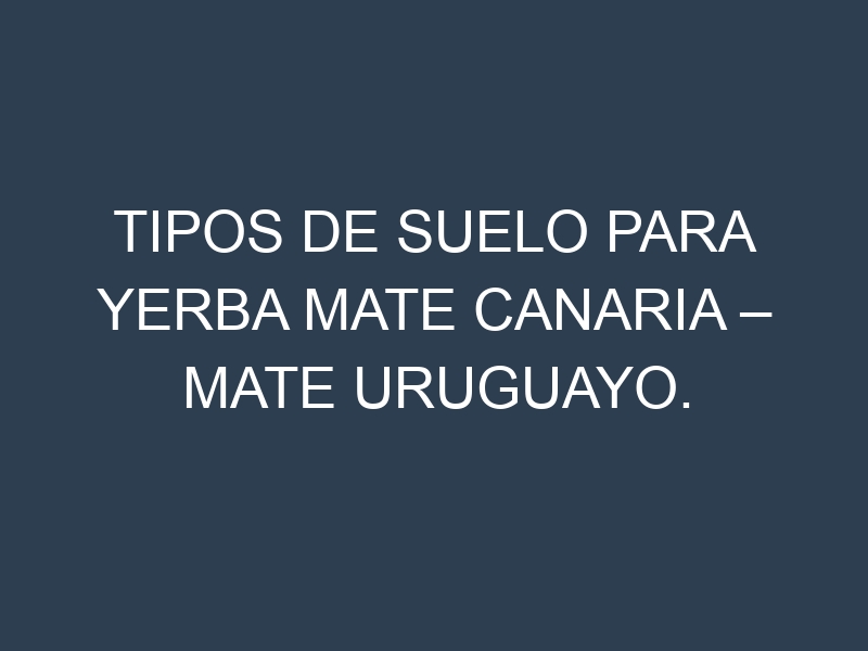 Tipos de suelo para Yerba mate canaria – Mate uruguayo. Cómo ajustar las condiciones del suelo.