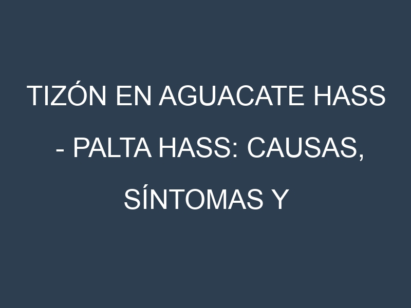 Tizón en Aguacate hass – Palta hass: Causas, Síntomas y Estrategias de Control en Cultivos