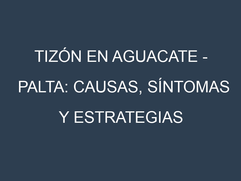Tizón en Aguacate – Palta: Causas, Síntomas y Estrategias de Control en Cultivos