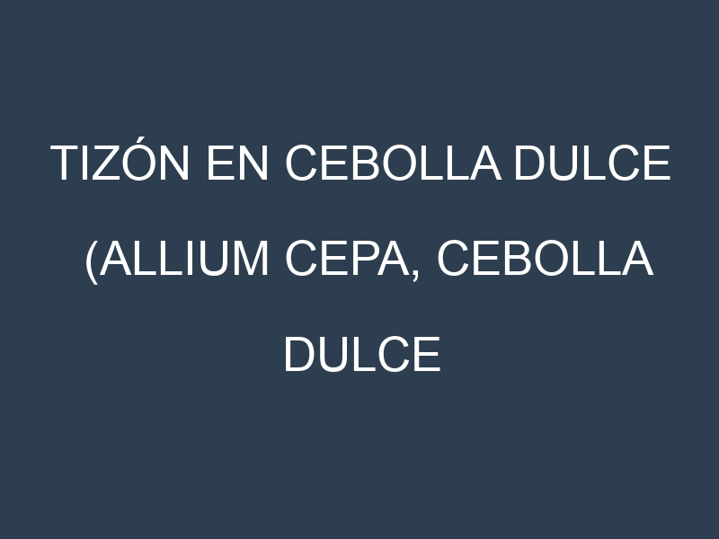 Tizón en Cebolla dulce (Allium cepa, Cebolla dulce amarilla, Cebolla dulce morada): Causas, Síntomas y Estrategias de Control en Cultivos