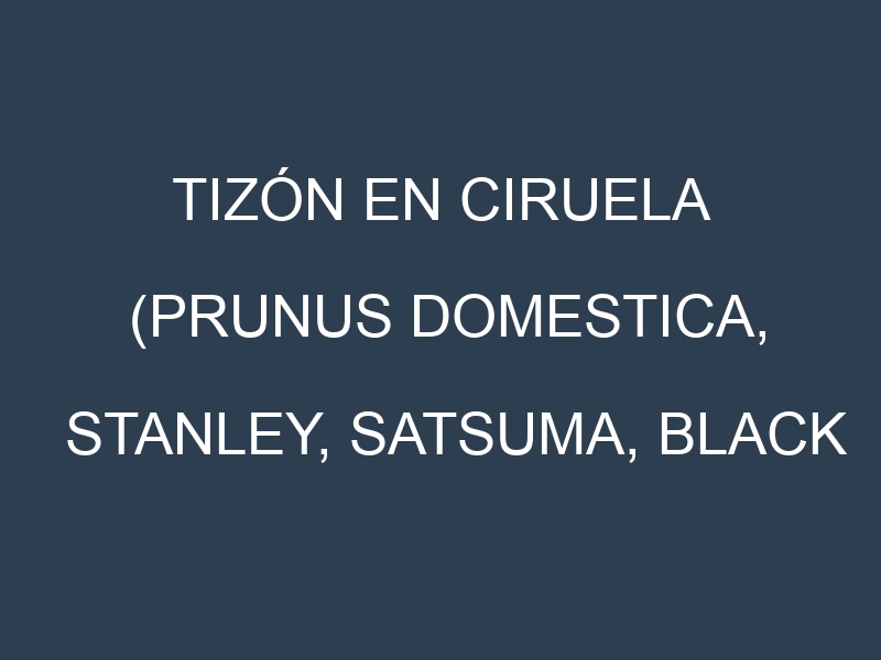 Tizón en Ciruela (Prunus domestica, Stanley, Satsuma, Black Amber): Causas, Síntomas y Estrategias de Control en Cultivos