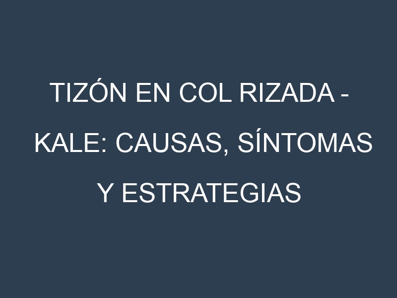 Tizón en Col rizada – Kale: Causas, Síntomas y Estrategias de Control en Cultivos